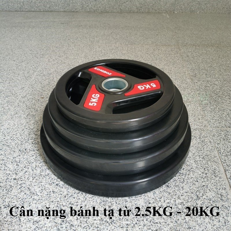 Tạ đĩa Gang bọc cao su FED-KB-25 phi 50- Loại 2.5kg (2 cái)