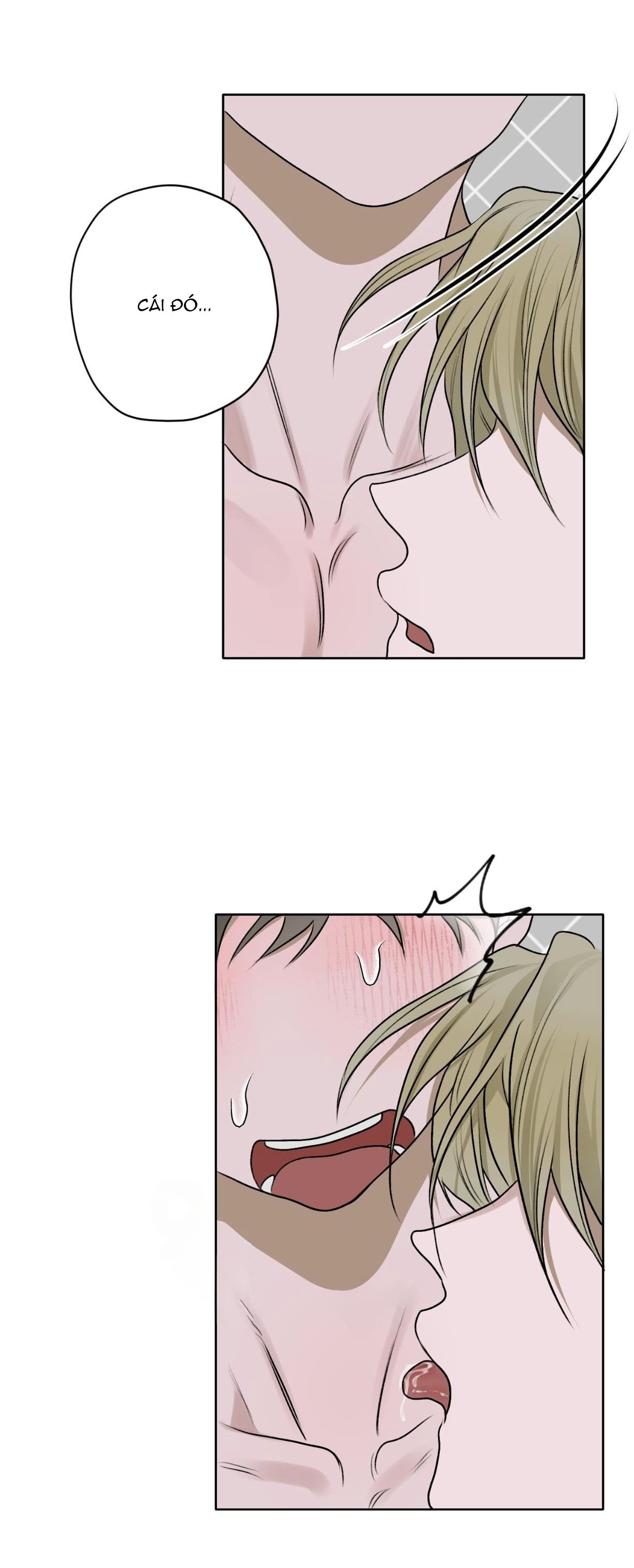 đoá hoa trên mặt hồ chapter 16 38