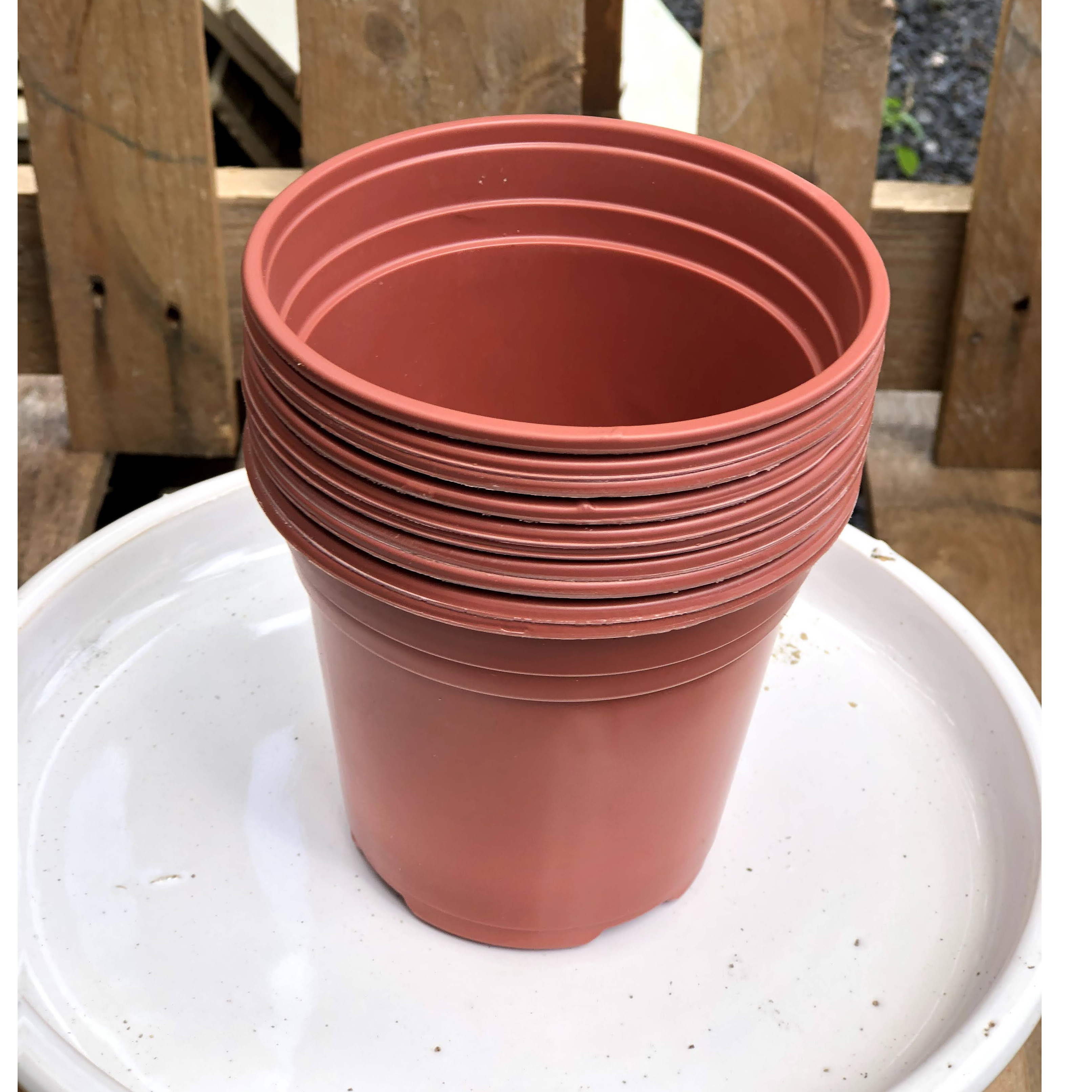 Bộ 10 chậu trồng cây kích thước fi 120 x 106 mm