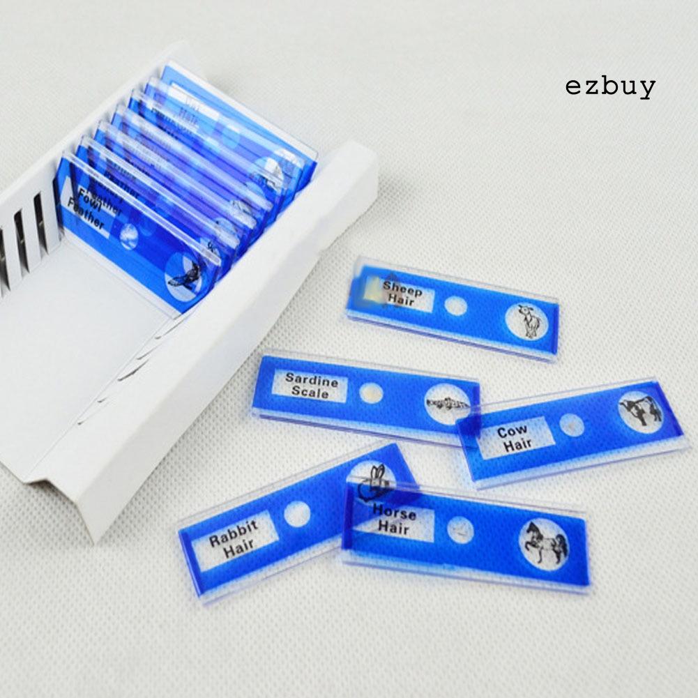 EY-12Pcs DIY Specimen Microscope Slides Children Biology Scientific Educational Toy