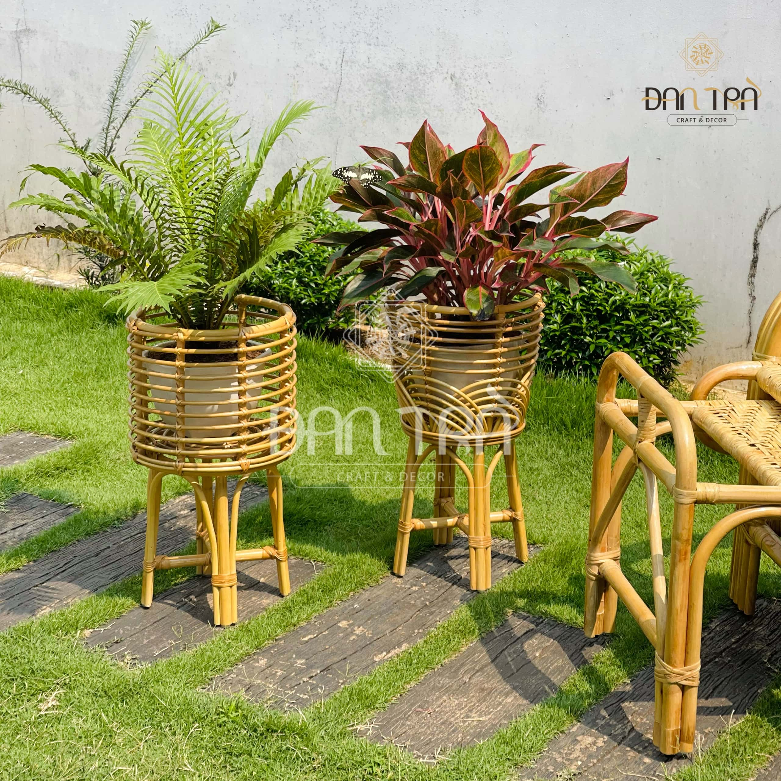 Kệ Mây Đựng Cây Đan Trà - Kệ Mây Trang Trí Đan Trà- Kệ Mây Decor Không Gian Xanh- Đan Trà Decor