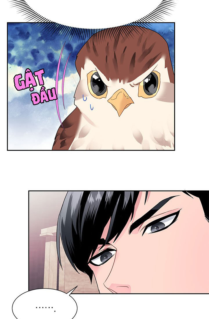 công chúa của loài chim chapter 8 59