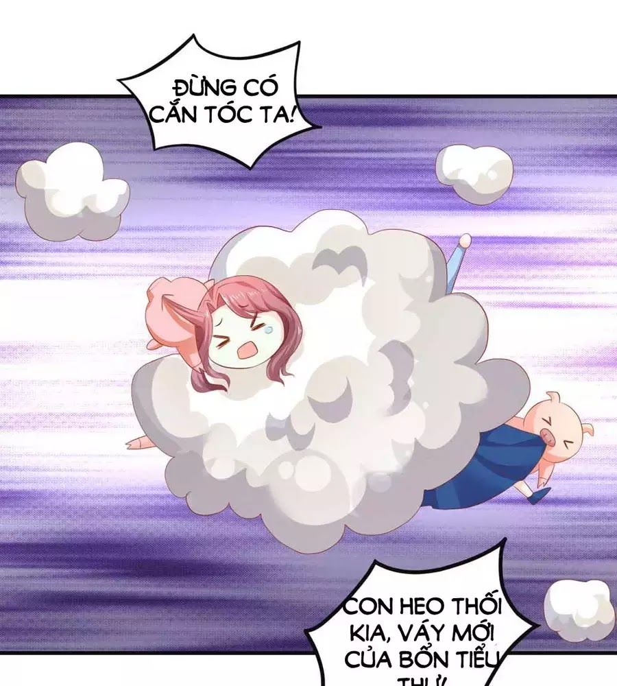 từ đây vương gia không thượng triều sớm chapter 90 15