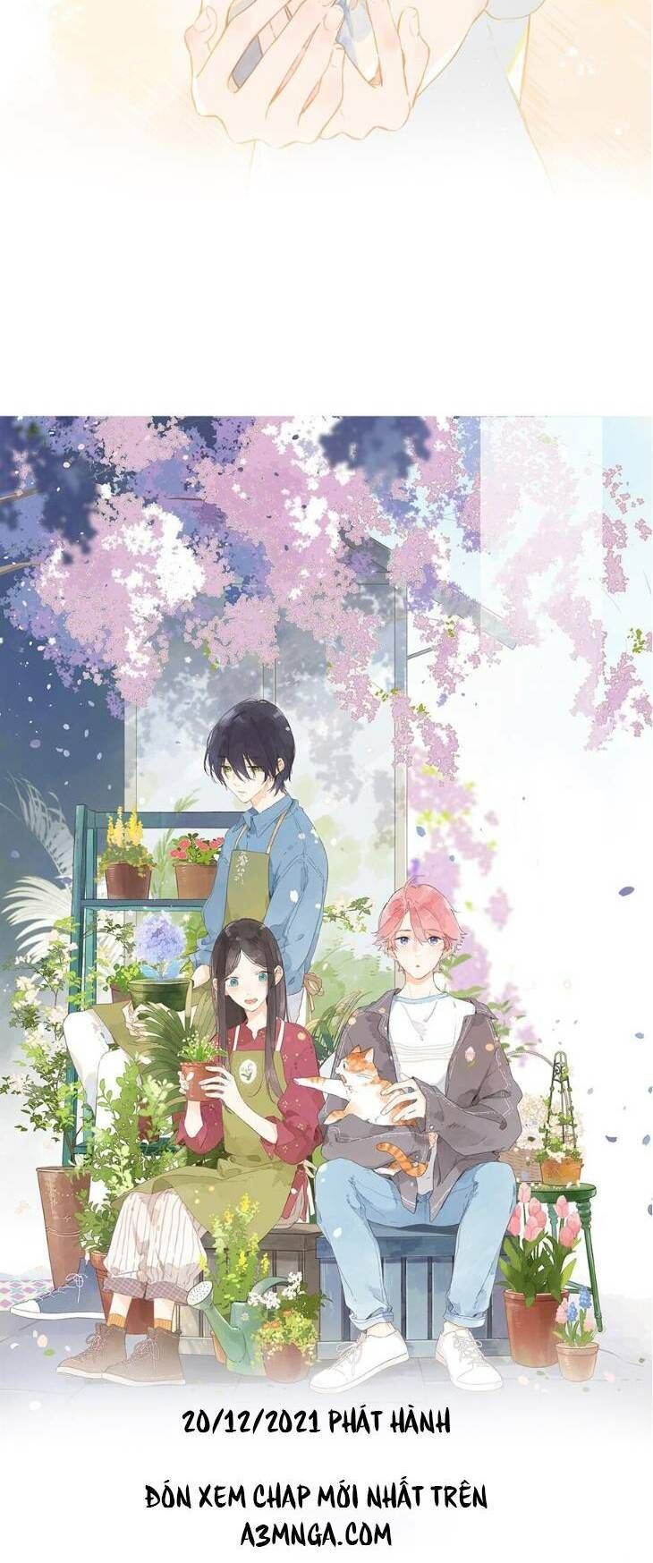 tiệm hoa hướng dương góc phố chapter 0 4