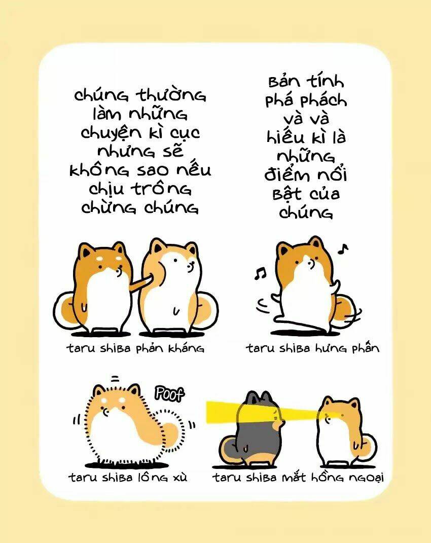 taru shiba chapter 1 8