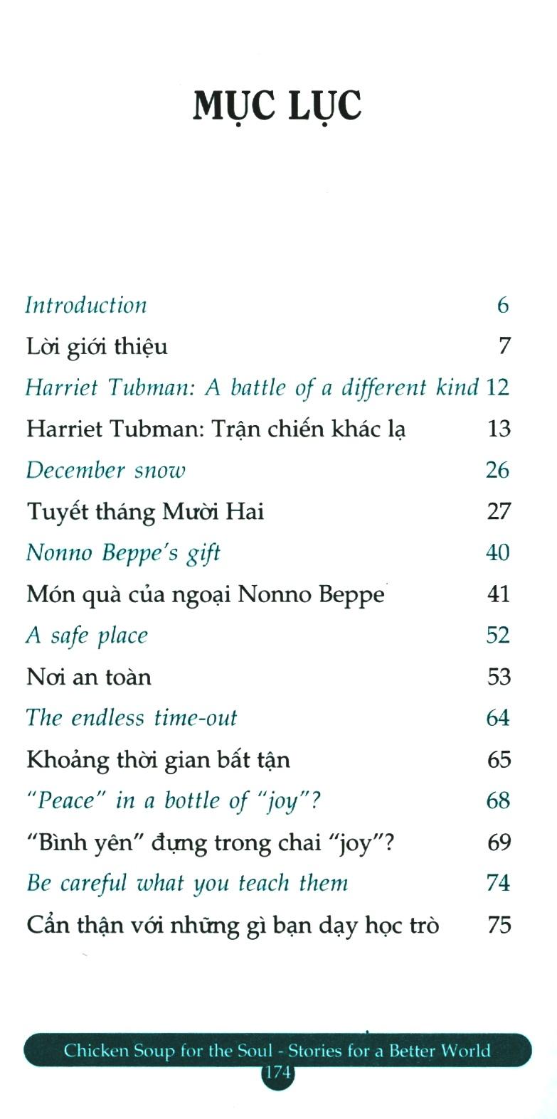 Chicken Soup For The Soul Stories For A Better World 19 - Tin Vào Ngày Mai