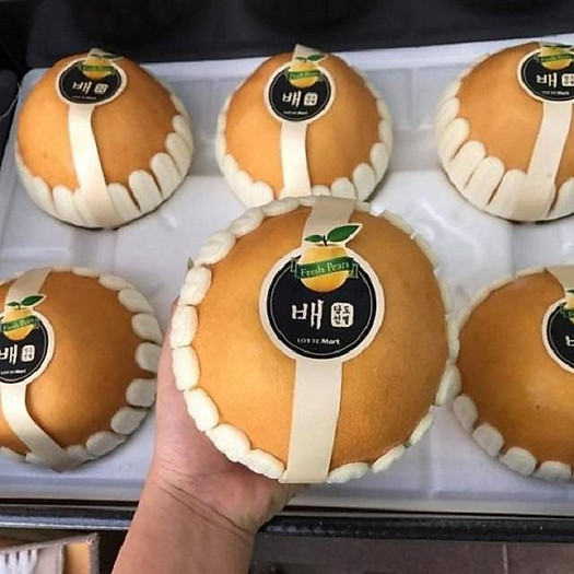 Lê Nâu Hàn Quốc