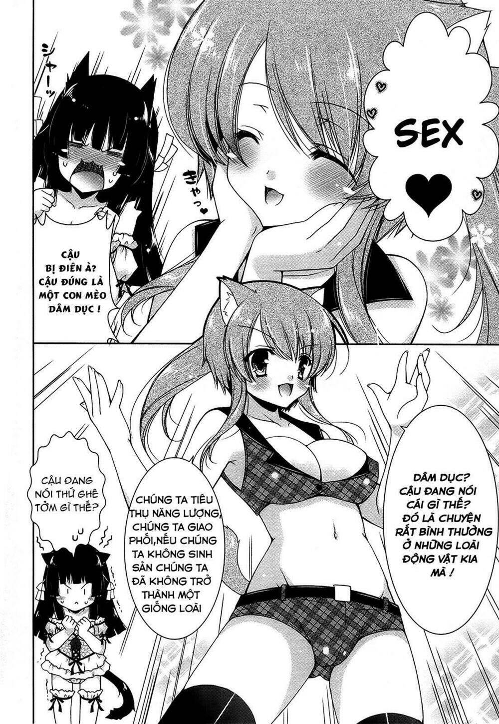 nyatoo chapter 12 14