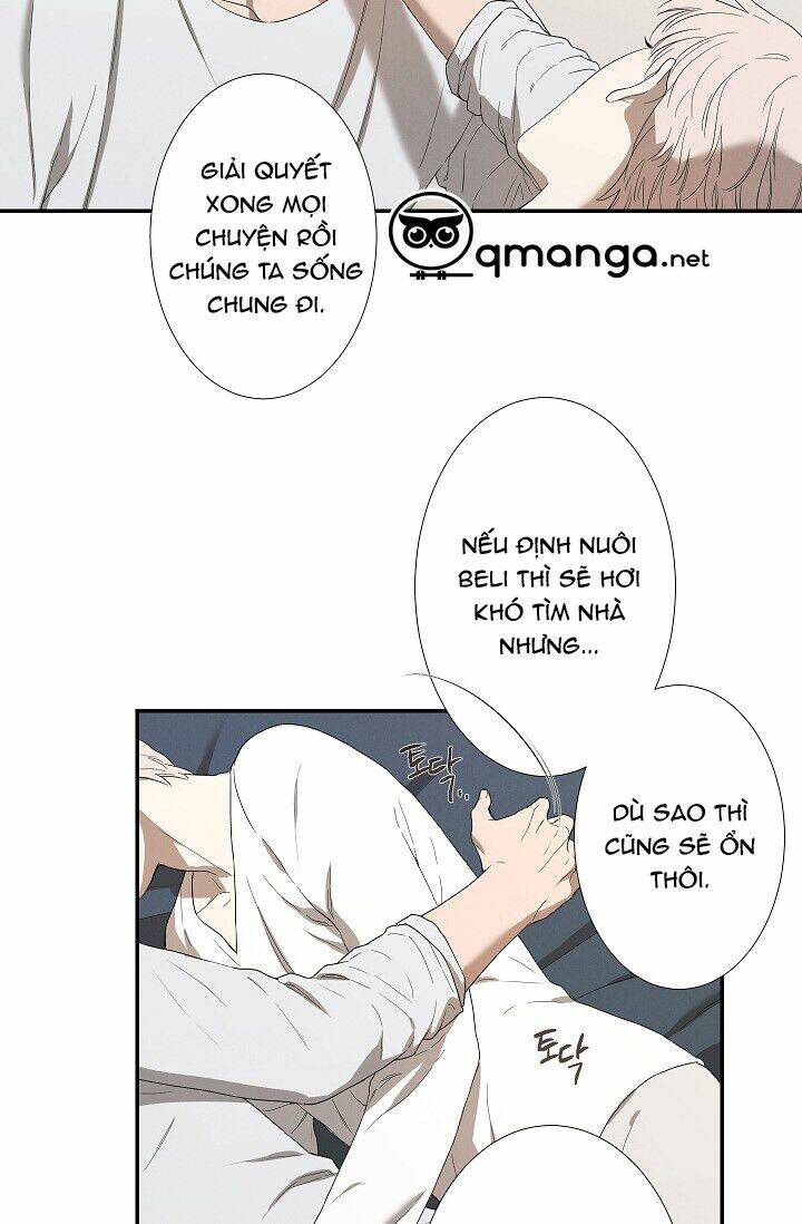 trốn tìm chapter 30 28