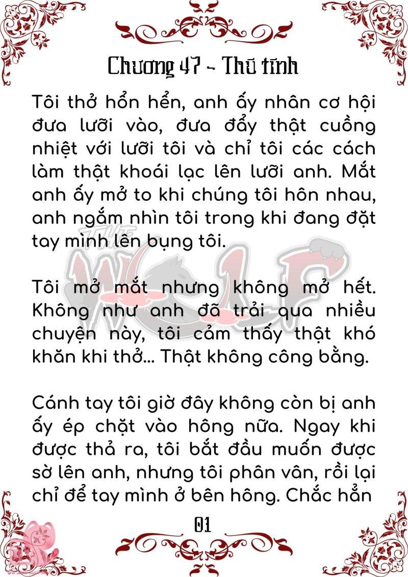 bầy sói giữa dane chapter 47 1