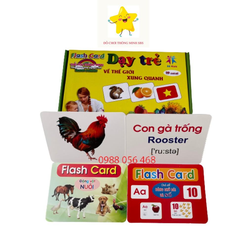 Thẻ học thông minh dạy trẻ TGXQ 12x16cm 19 chủ đề cho bé Ivory Flashcard 256 thẻ tái bản 2021