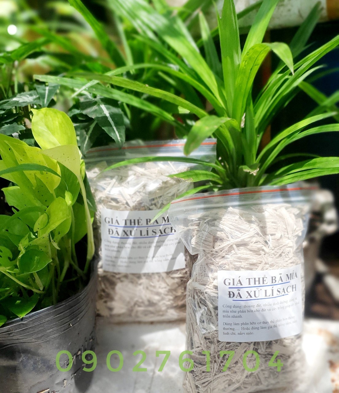 250gr bã mía đã được làm sạch siêu tốt trồng cây thân thiện môi trường