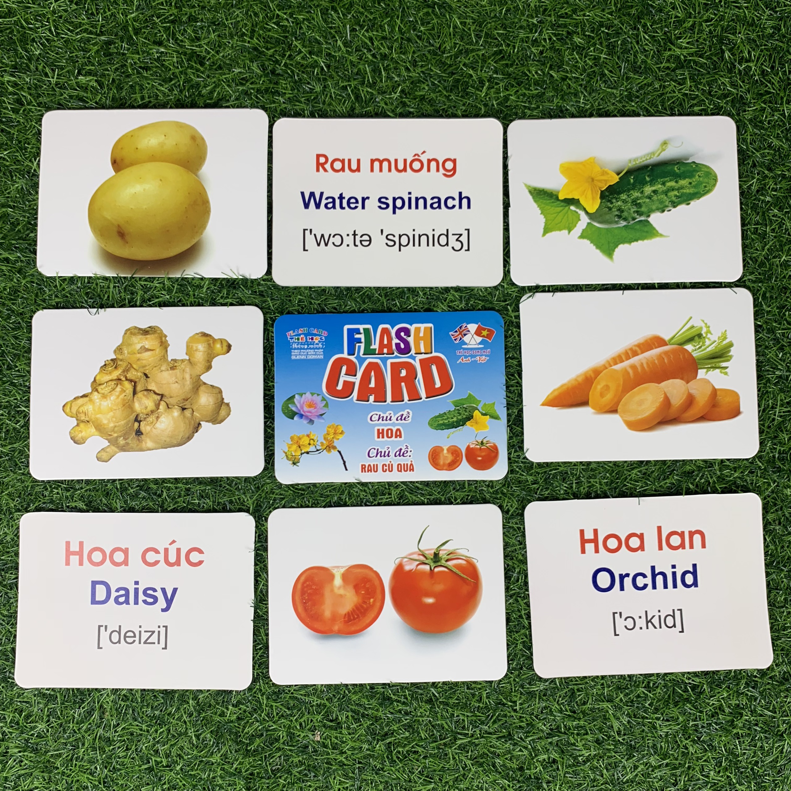 Bộ Thẻ Học Thông Minh 18 Chủ Đề Dạy Trẻ Về Thế Giới Xung Quanh Flashcard Song Ngữ Anh Việt Theo Phương Pháp Giáo Dục Sớm Glenn Doman Cho Bé Vừa Học Vừa Chơi Hiệu Quả