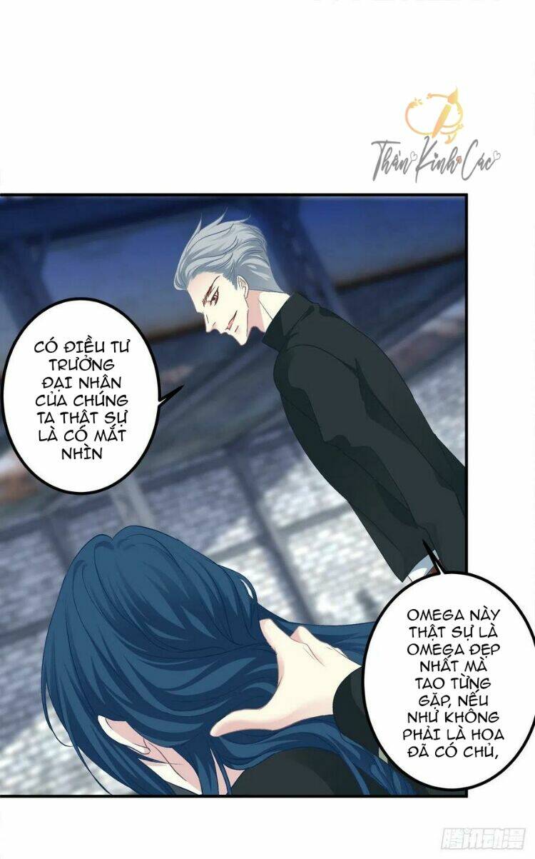 toàn bộ nắm trong tay chapter 52 8