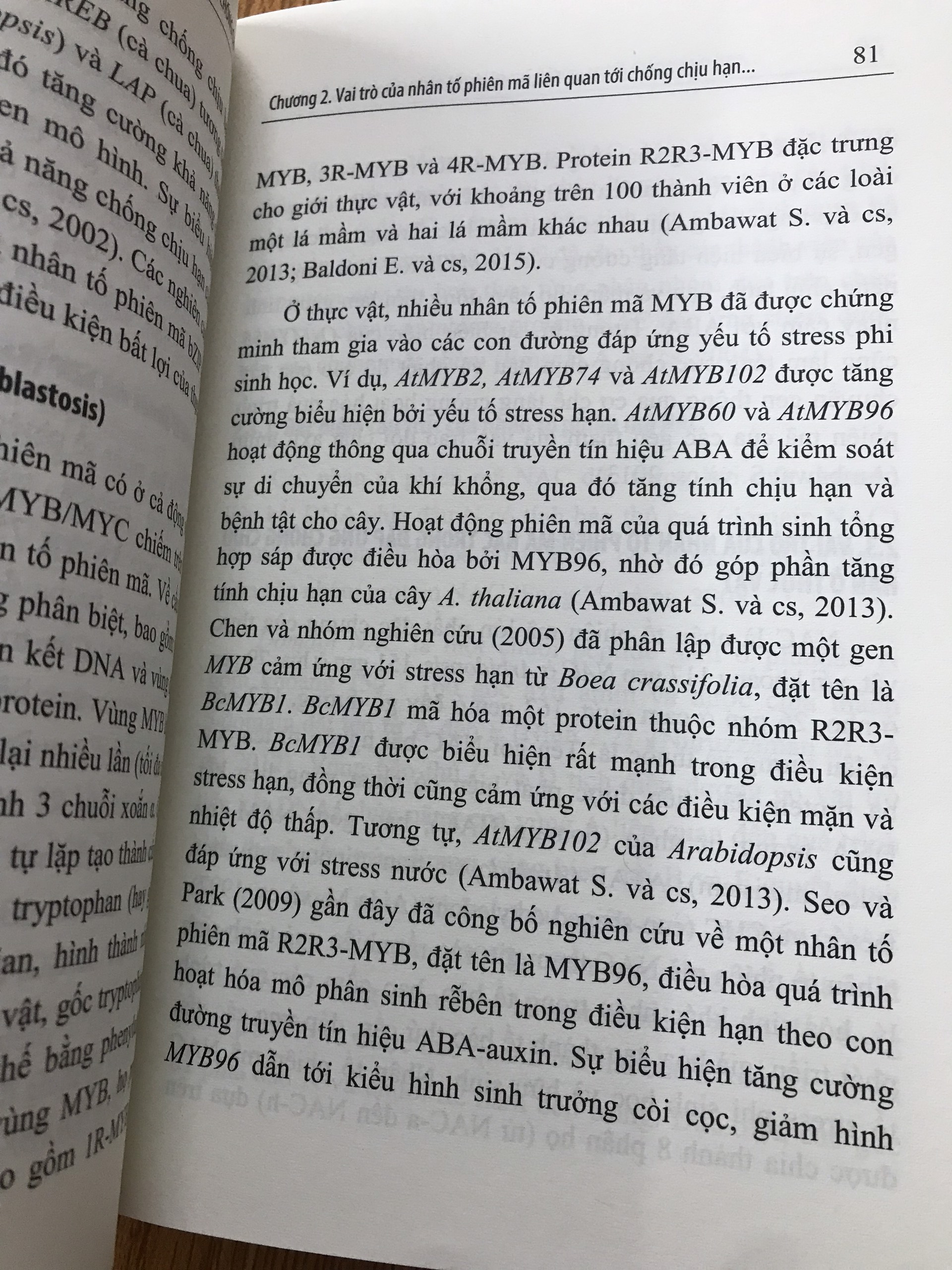 Tạo Giống Lúa Chuyển Gen Nâng Cao Khả Năng Chống Chịu Hạn (Sách Nông Nghiệp)