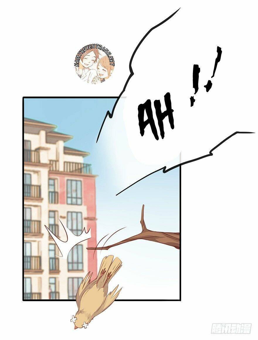 tổng tài đại nhân tâm thiếu nữ chapter 4.1 16