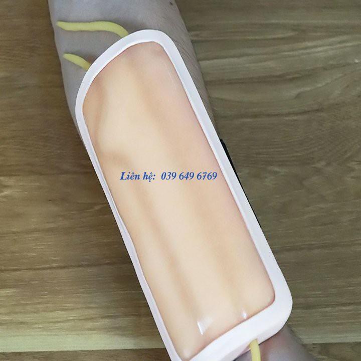 Mô hình tiêm tĩnh mạch