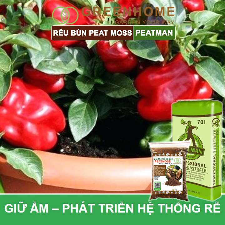 Rêu Than Bùn Peatmoss Greenhome, Bao 1kg, Giá Thể, Cân Bằng Ẩm, Trộn Đất Trồng Sen Đá, Kiểng Lá, Hoa Hồng, Ươm Hạt Giống