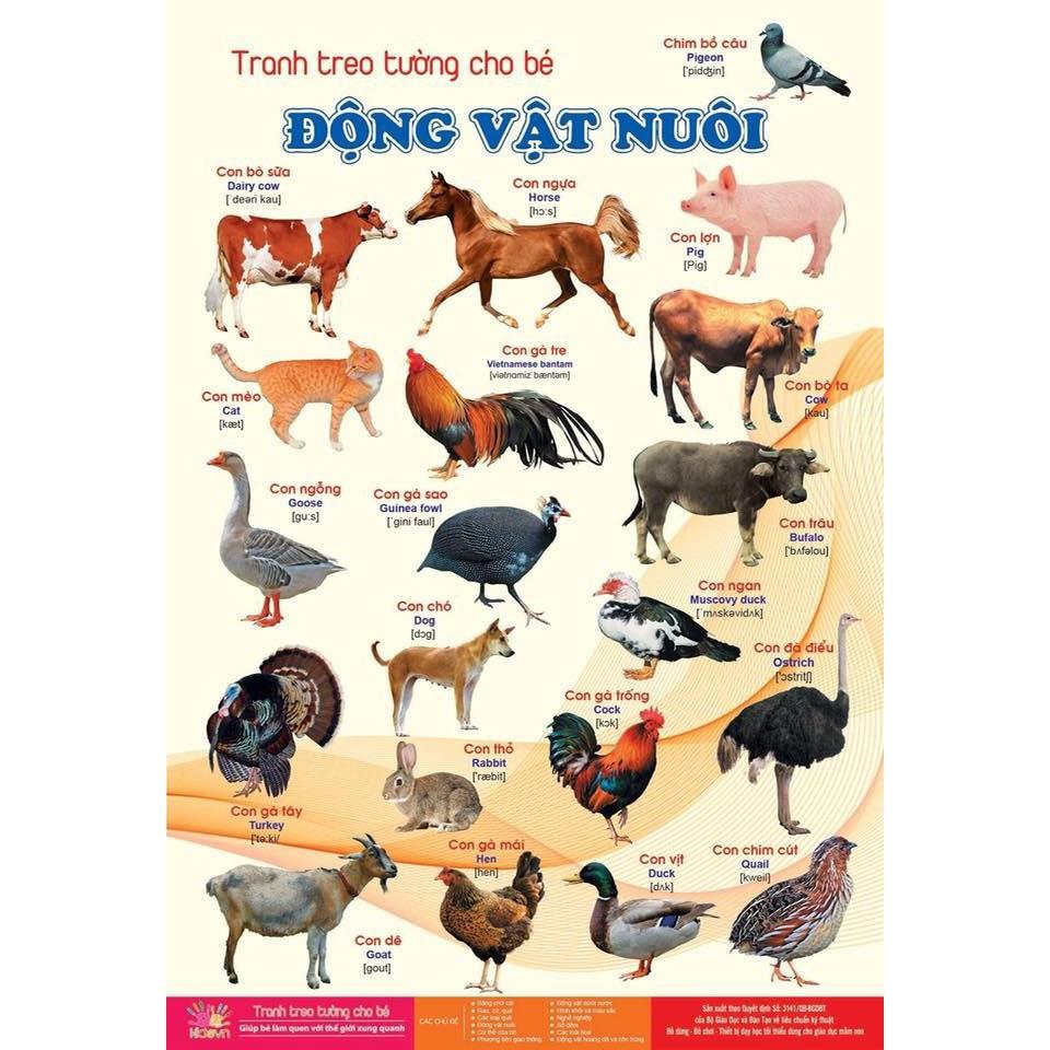 BỘ TRANH TREO TƯỜNG VỀ THẾ GIỚI XUNG QUANH 12 CHỦ ĐỀ CHO BÉ