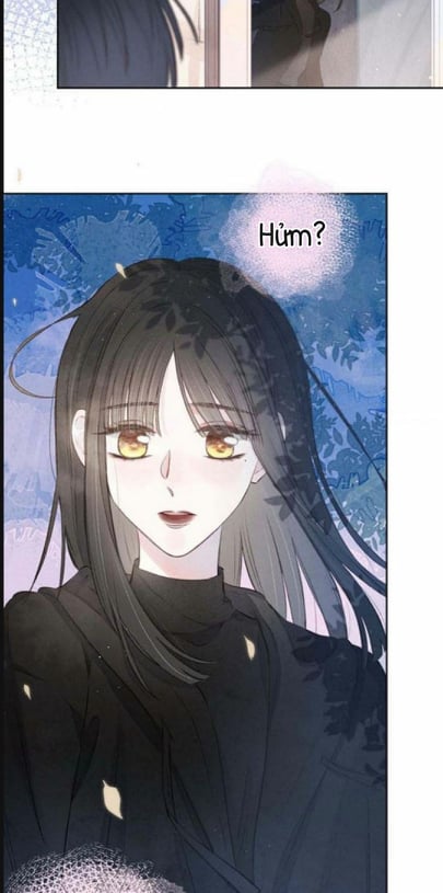 nỗi buồn của hoa cẩm tú cầu chapter 16 18