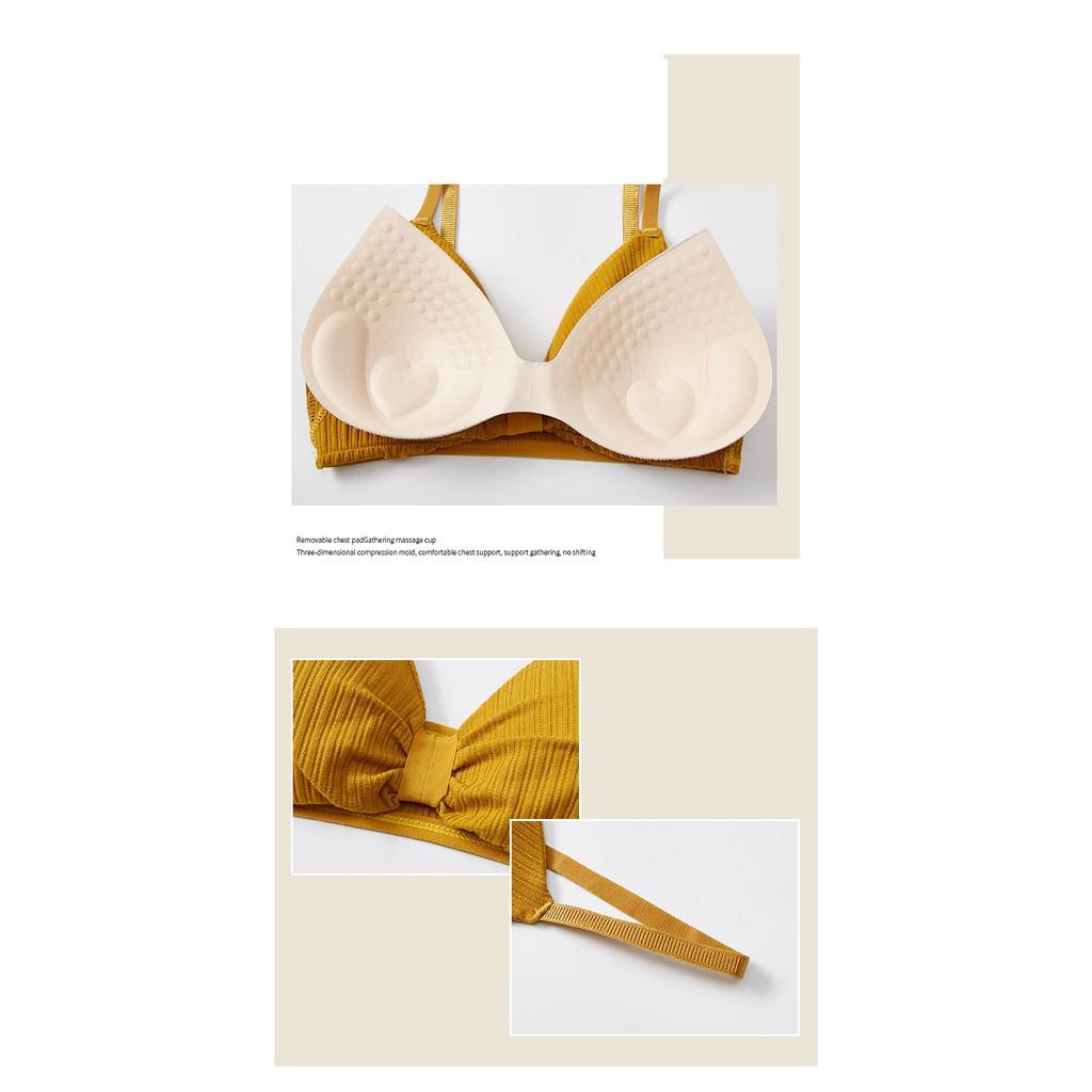 Áo Lót Bra Coton Nơ Đệm Dày Không Gọng BR26