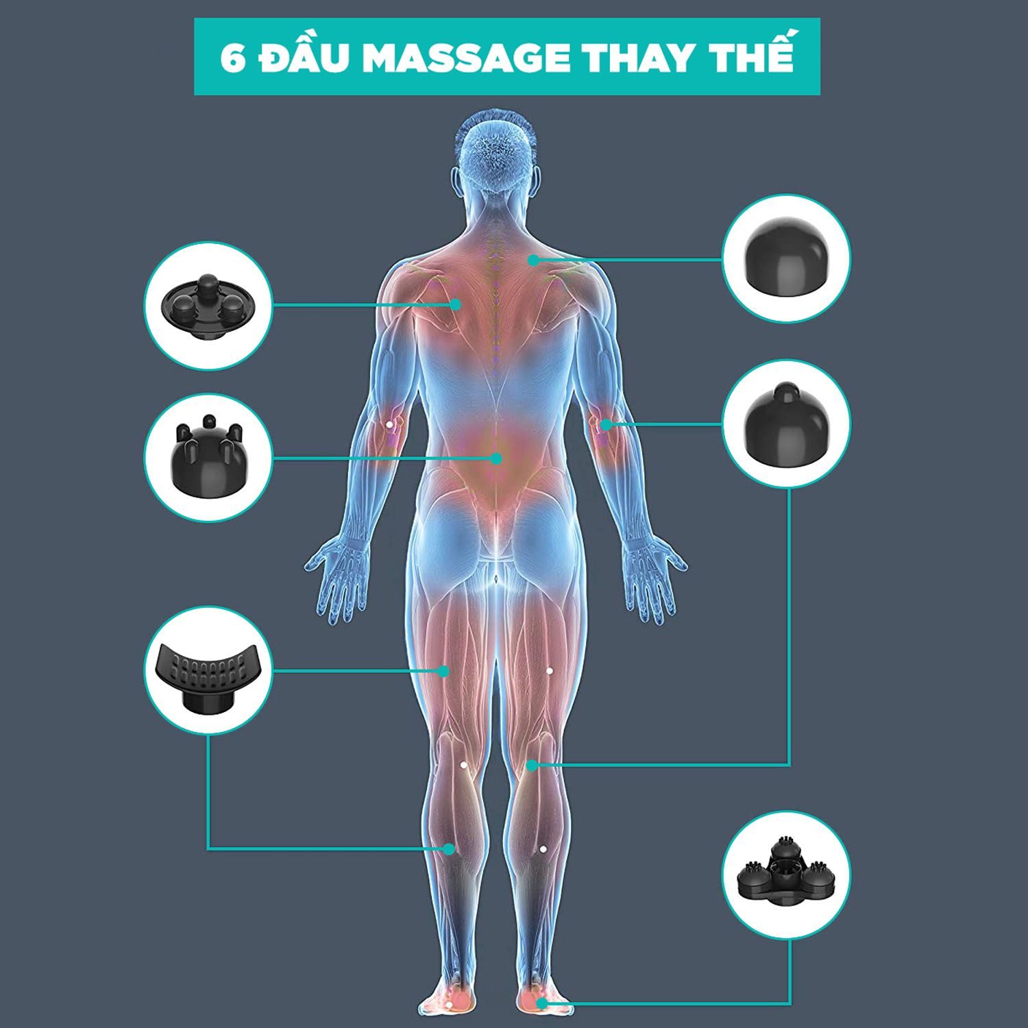 Máy Massage Cầm Tay Đa Năng Cao Cấp KINGTECH LUX-900 - Mát Xa Toàn Thân, Chuyên Sâu Cho Lưng, Cổ, Vai, Gáy Cánh Tay - Chính Hãng