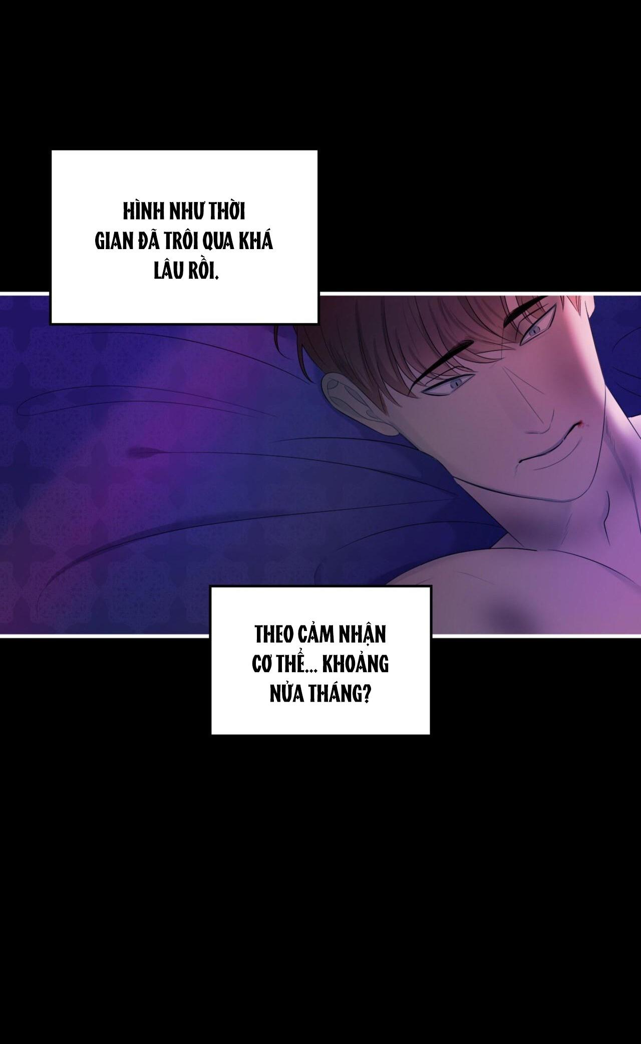 (np) độc thân muôn năm chapter 22 14