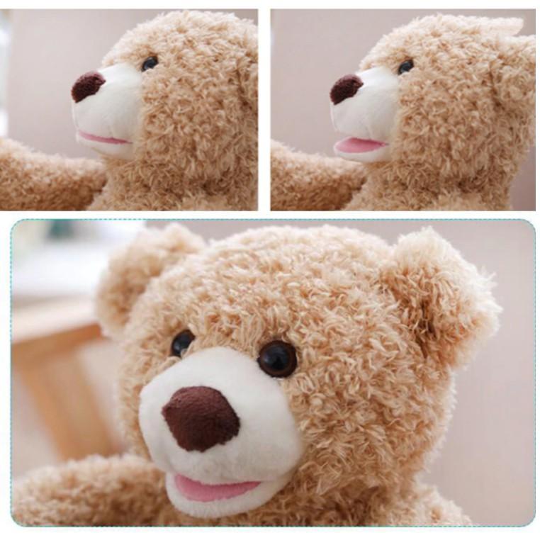 Gấu Bông đồ chơi Peek-A-Boo ú oà dễ thương