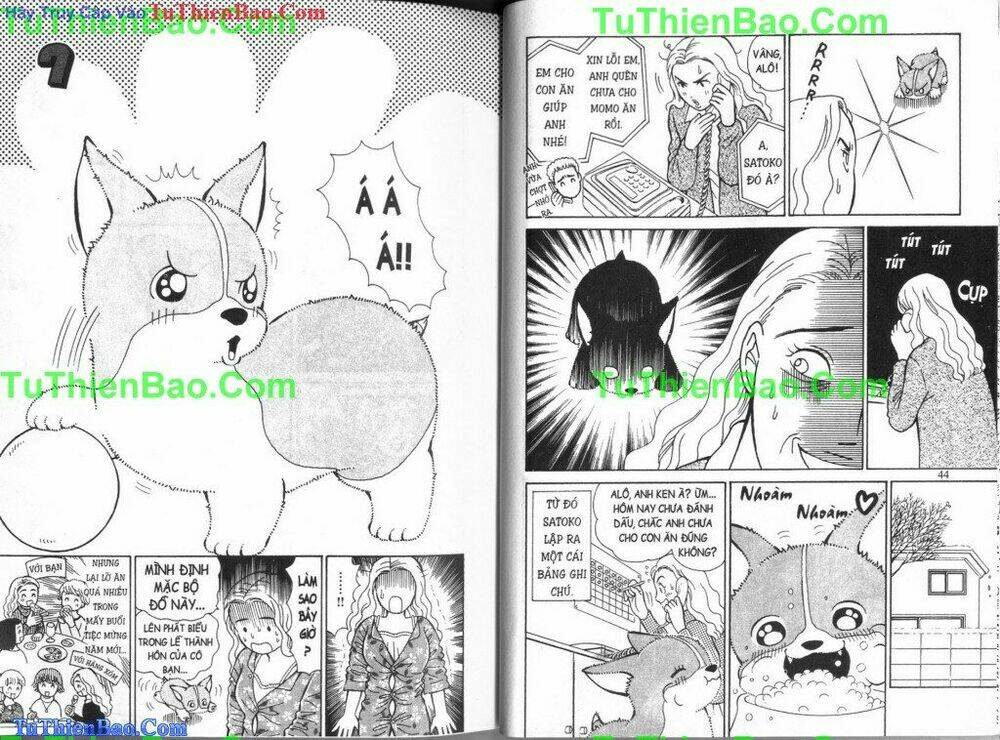 chó con mo mo chapter 4 23