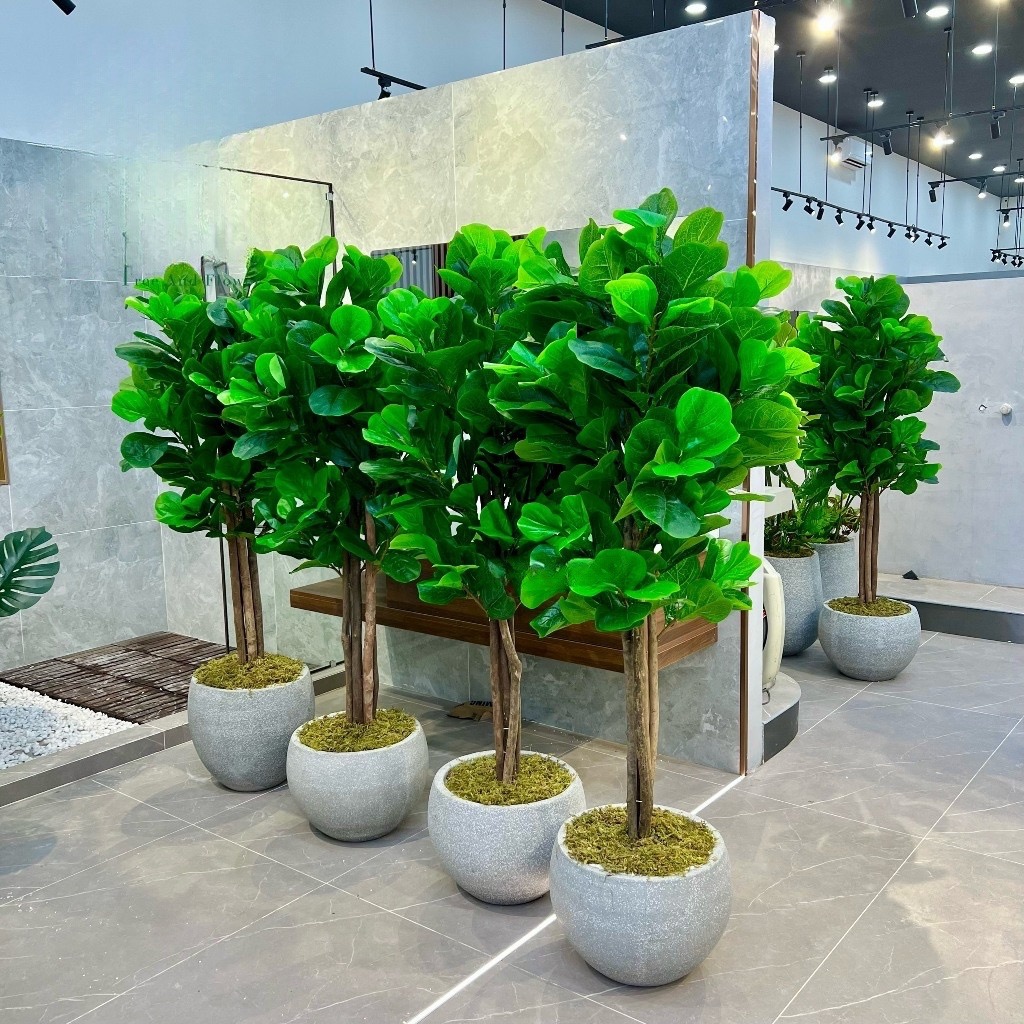 Cây bàng singapore giả - cao 160cm - Cây giả, hoa lụa Decor trang trí nhà cửa