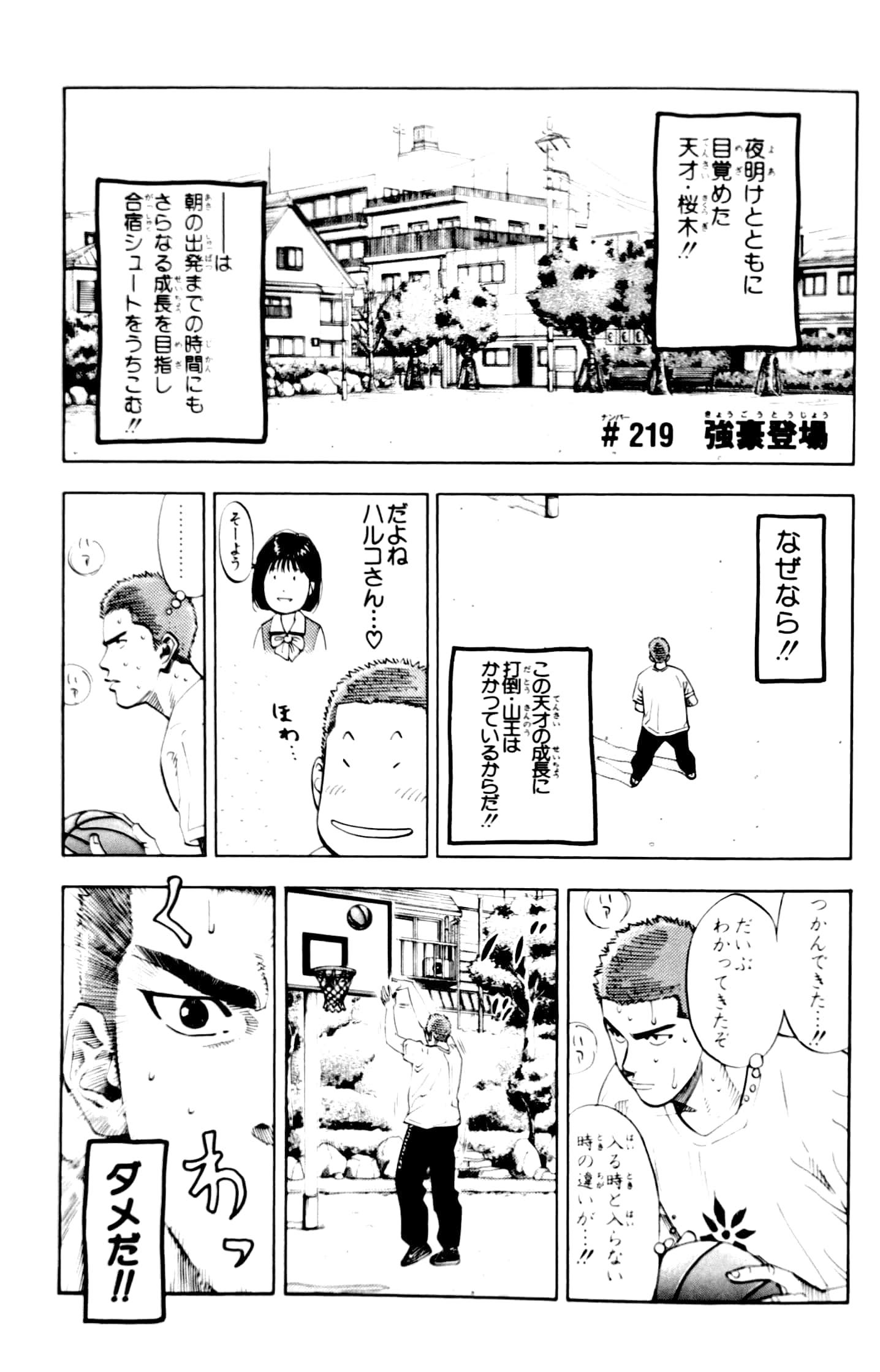 SLAM DUNK 20