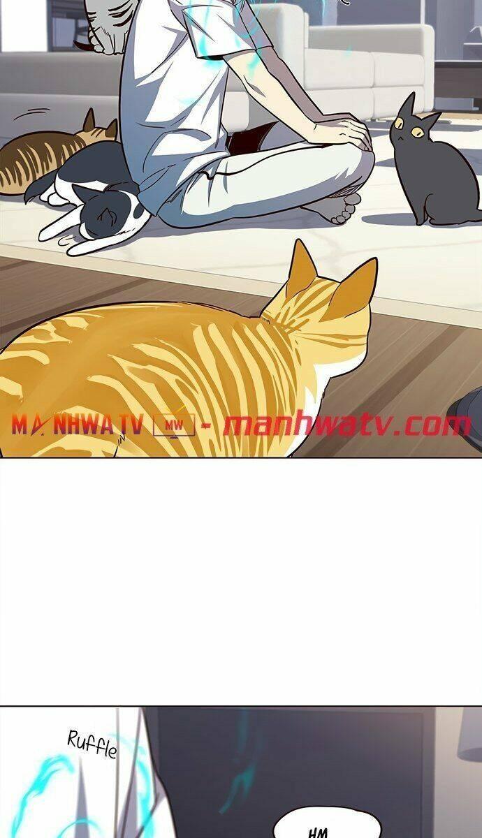 biến thân thành mèo chapter 21 70