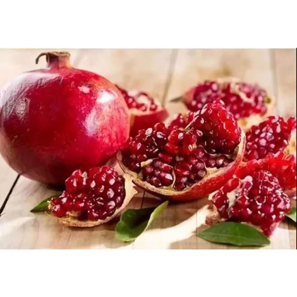 Cây giống Lựu Đỏ Lùn ẤN ĐỘ
