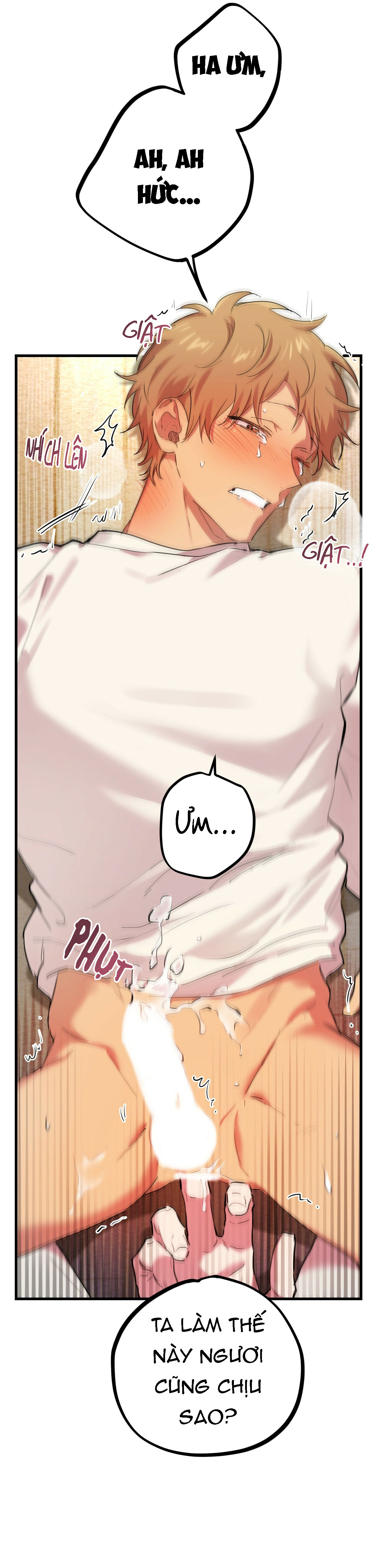 những chú thỏ của hapypy chapter 8 57