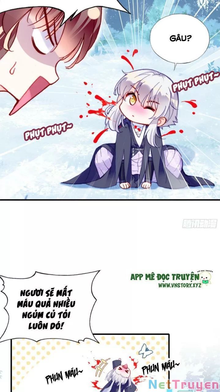 lại bị bệnh chiều chuộng quấn lấy chapter 19 12