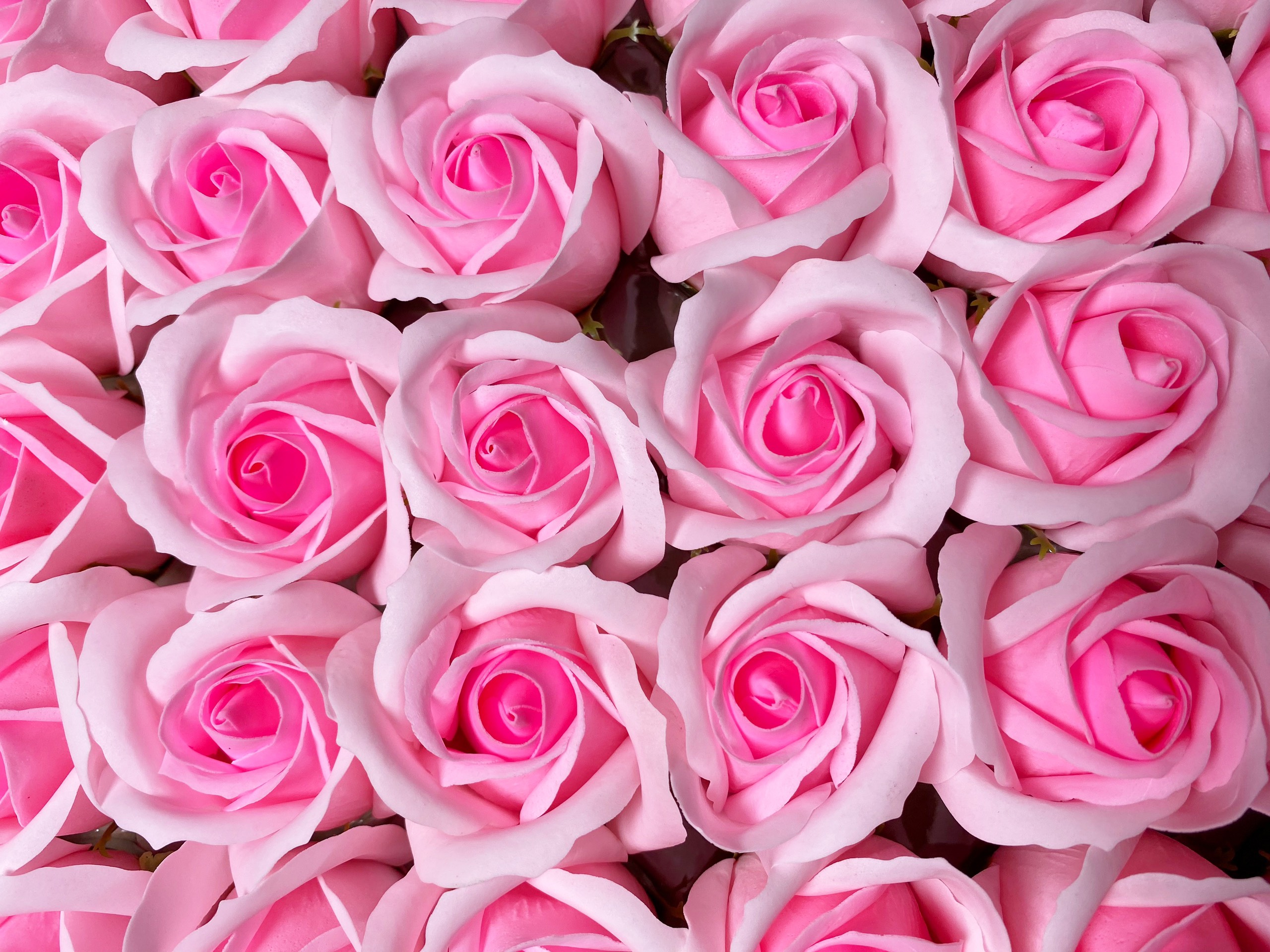 Hoa hồng sáp thơm 3 lớp