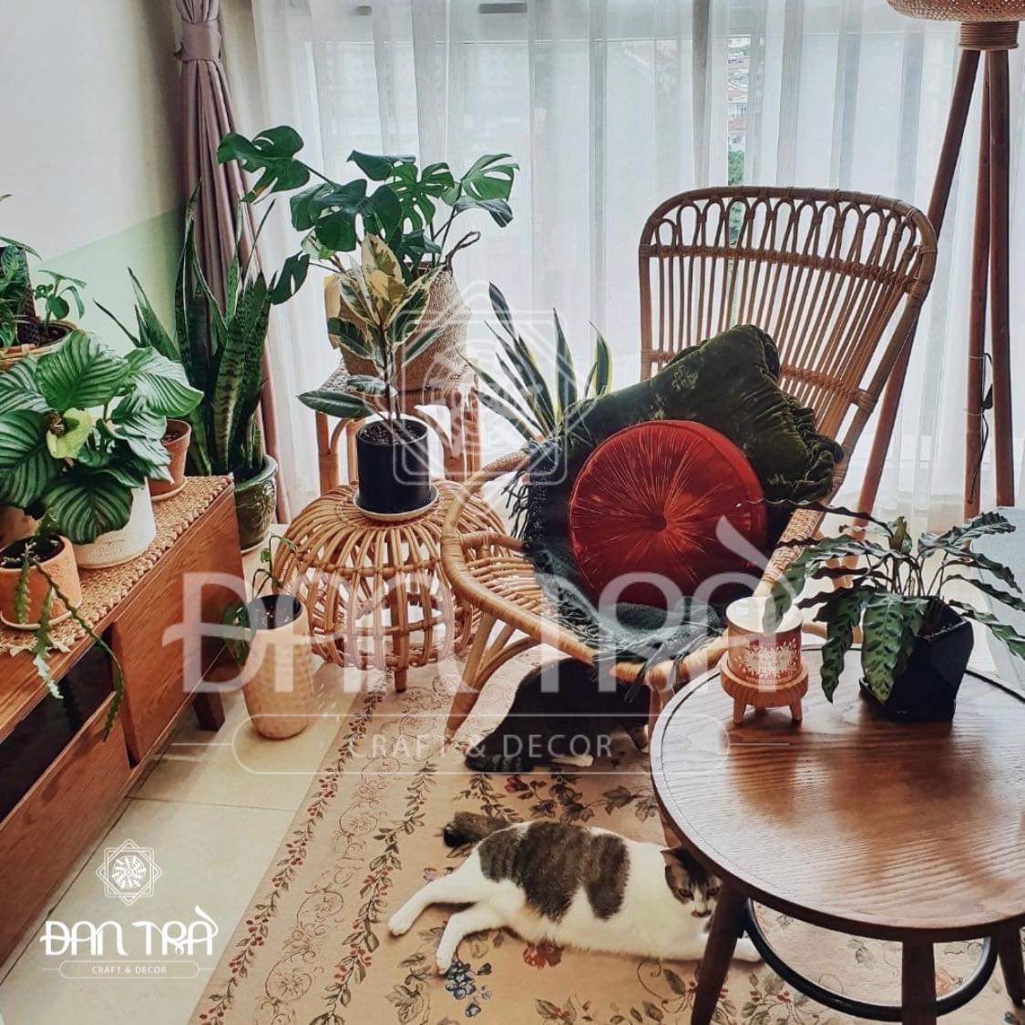 Ghế Mây Thư Giãn ĐAN TRÀ, Ghế Mây Tựa Lưng Cho Ban Công, Phòng Khách, Mây Tre ĐAN TRÀ