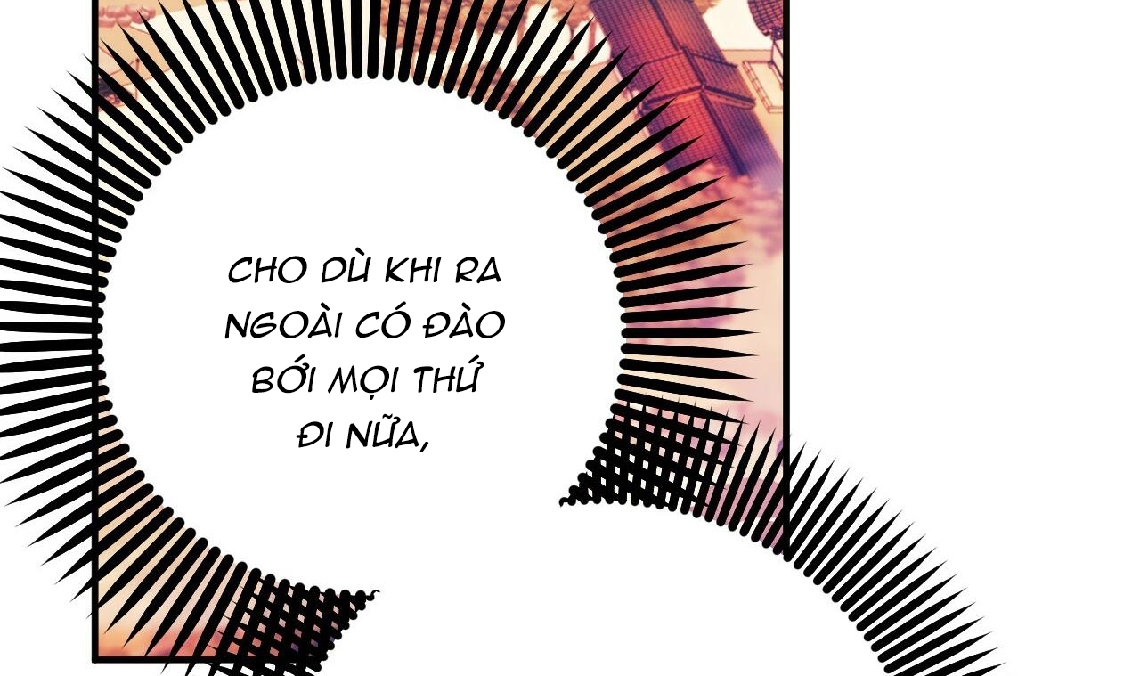 những chú thỏ của hapypy chapter 49 40