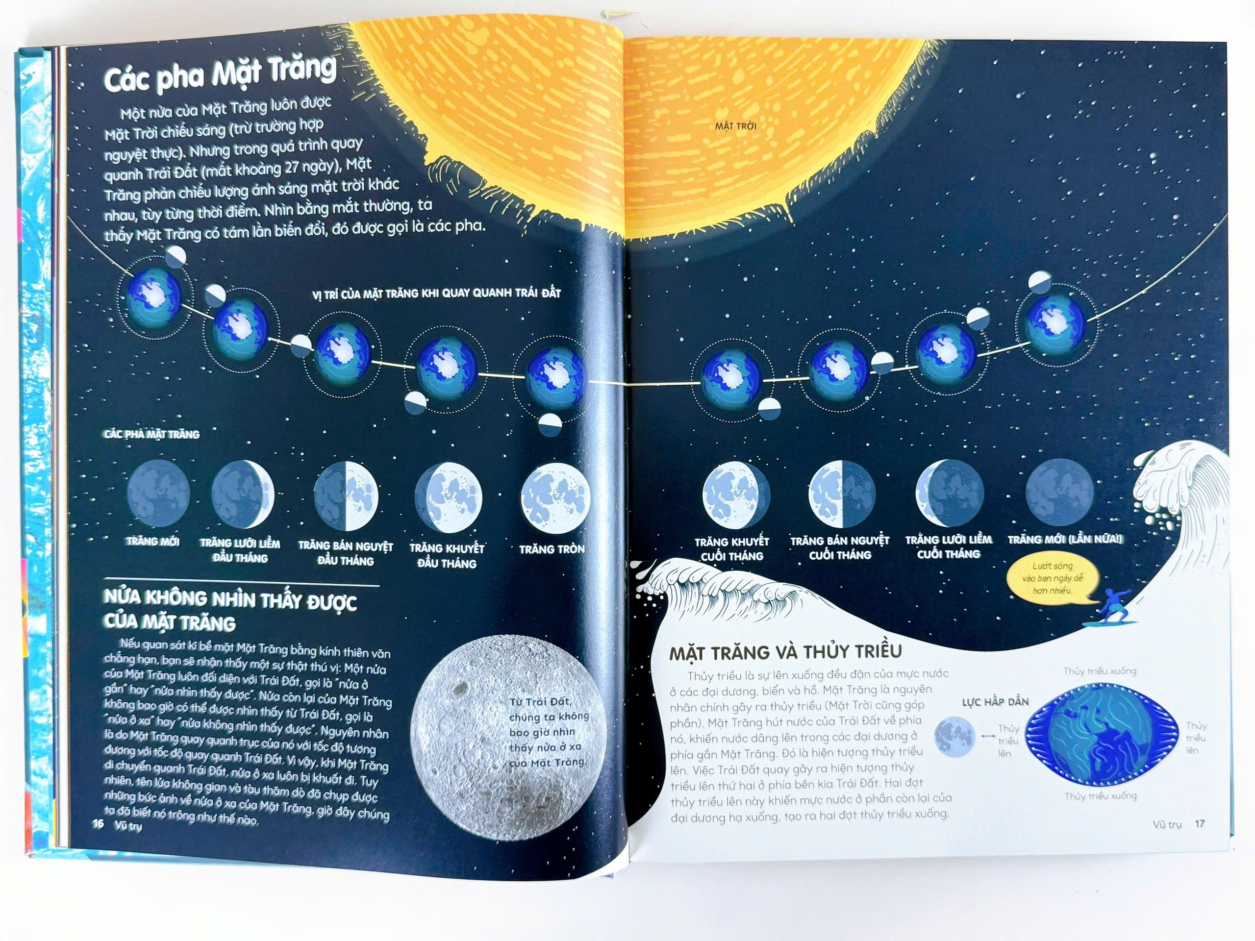 Sách - Bách Khoa Thư Bằng Đồ Họa - Bìa Cứng