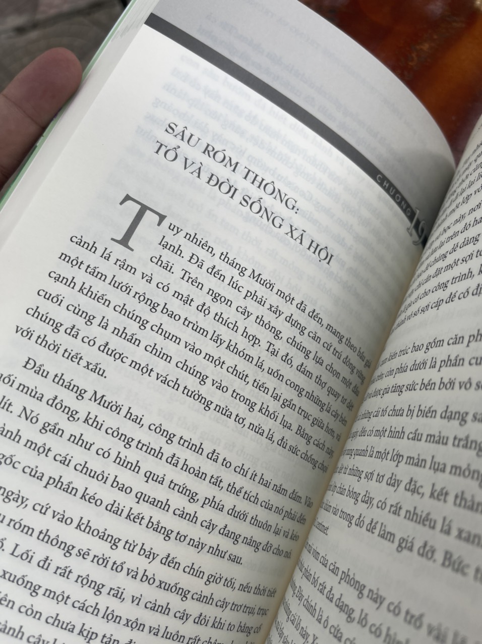 CÔN TRÙNG KÝ – Tập 6 - Jean-Henri Fabre - An Lạc Group dịch – Huy Hoàng Bookstore – bìa mềm