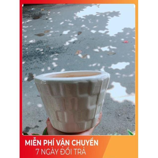 Nhất Mạt Hương kèm chậu sứ