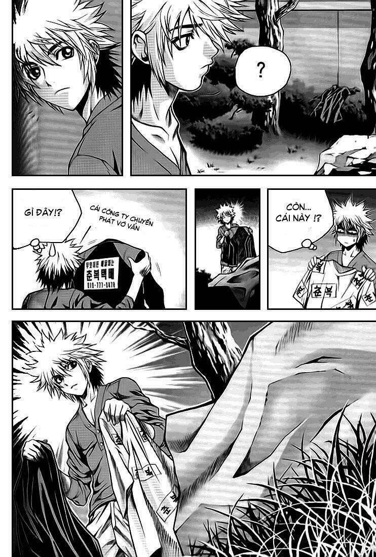 zippy ziggy chapter 19 11