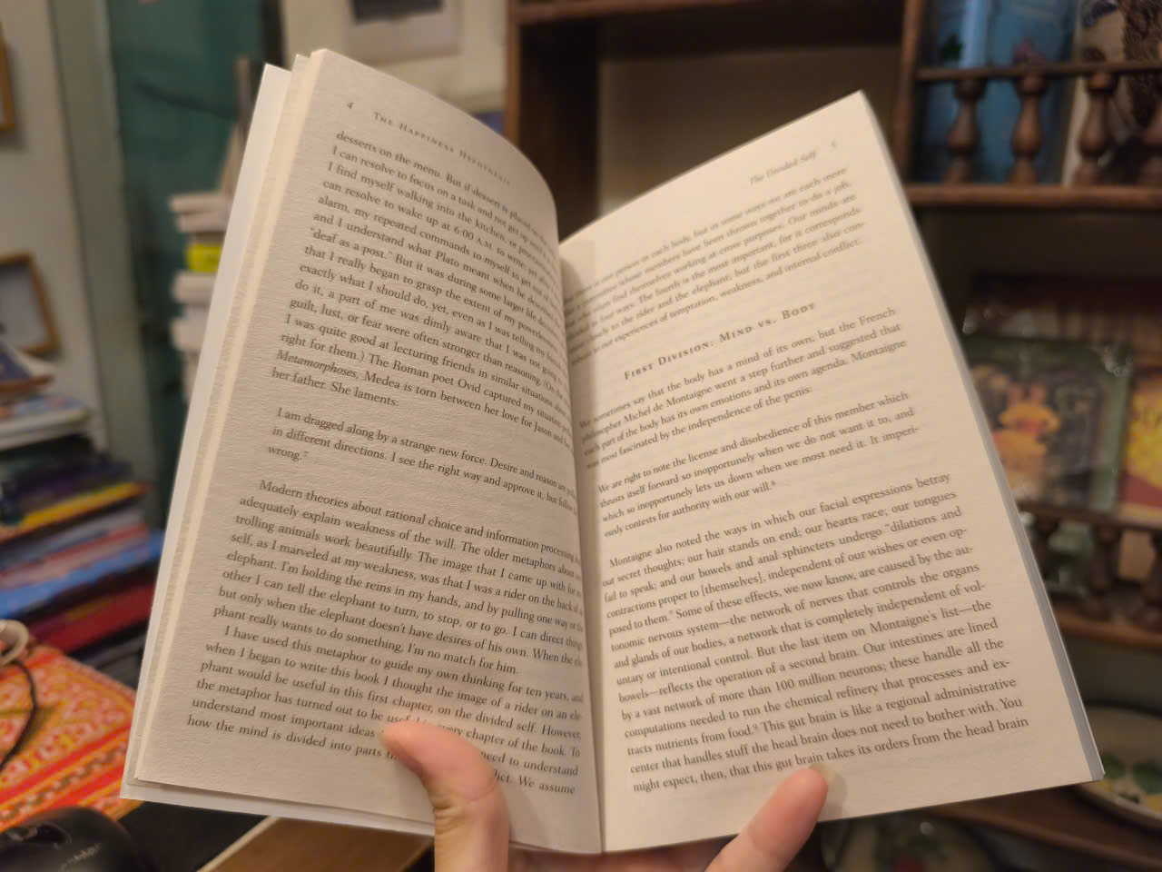 Sách - The Happiness Hypothesis: Ten Ways to Find Happiness &amp; Meaning in Life by Jonathan Haidt / Nonfiction / Self help Book