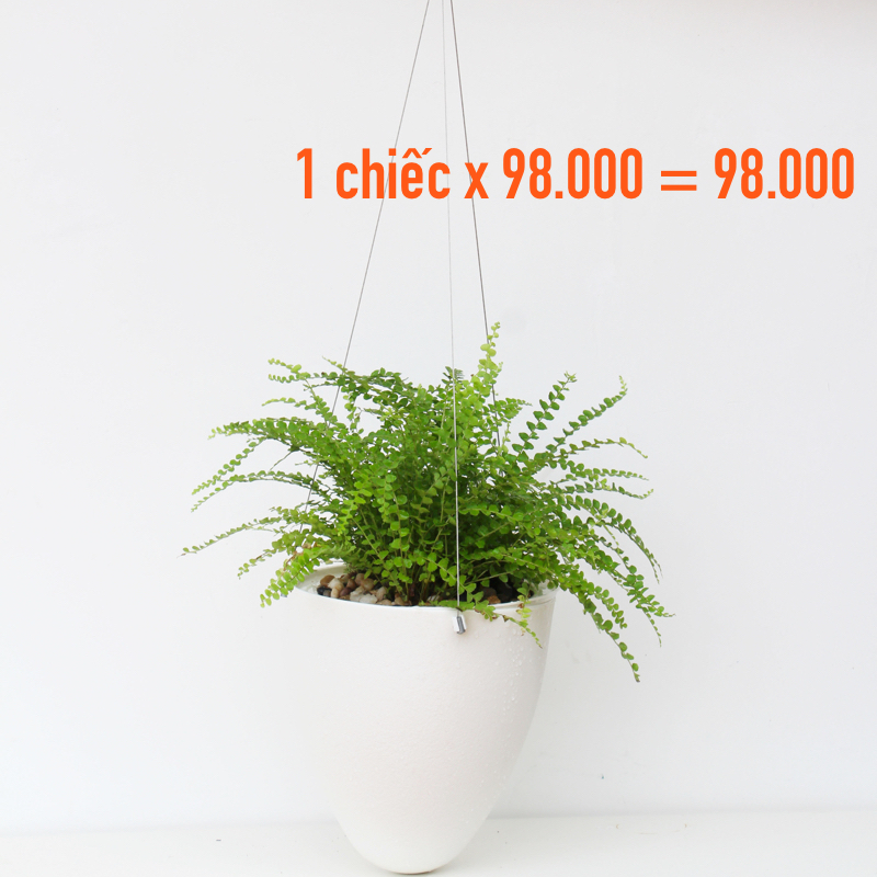 Chậu cây treo ban công Oliz D09 - Chậu trồng cây thông minh tự tưới