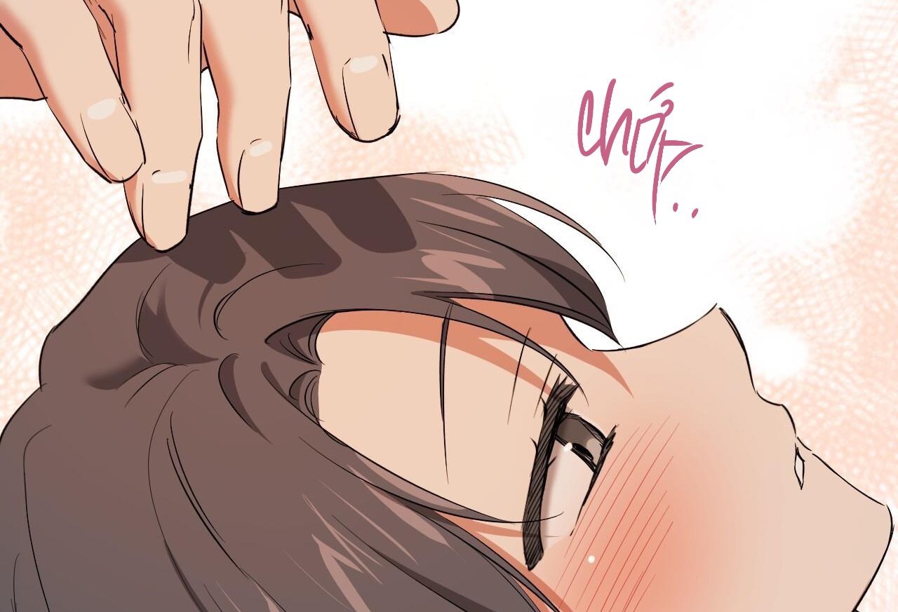 những chú thỏ của hapypy chapter 65 12