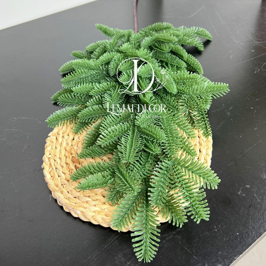 Cành thông noel để bàn - phụ kiện trang trí noel decor xinh - phụ kiện chụp hình.