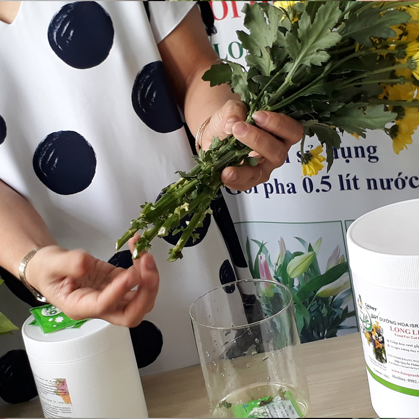 BỘT DƯỠNG HOA LONGLIFE SG CỦA ISRAEL (COMBO 5 KG) BÍ QUYẾT GIỮ HOA TƯƠI LÂU GẤP 2 LẦN DÀNH SHOP HOA BẢO QUẢN HOA CẮM BÌNH, HOA CẮM XỐP TƯƠI LÂU VÀ KHÔNG THAY HOA ĐỊNH KỲ THÁNG