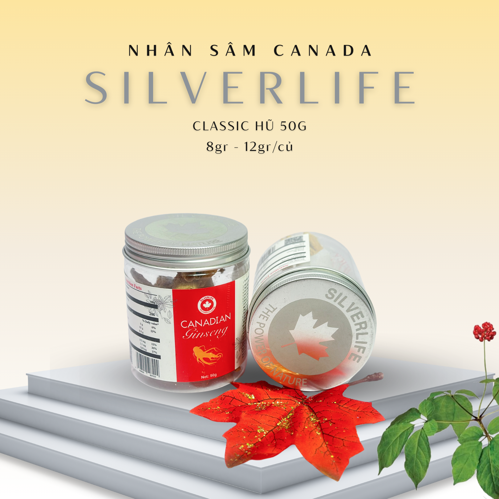 Nhân sâm Canada SilverLife Classic hũ 50g | Nhân sâm Canada khô nguyên củ