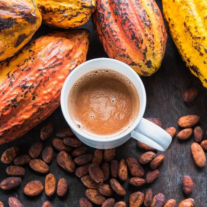 Bột Cacao Nguyên Chất Cao Cấp TBROS 200gr