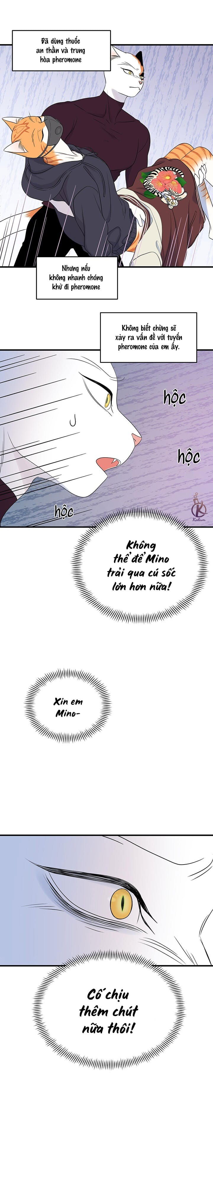 dự án xanh chapter 35 4